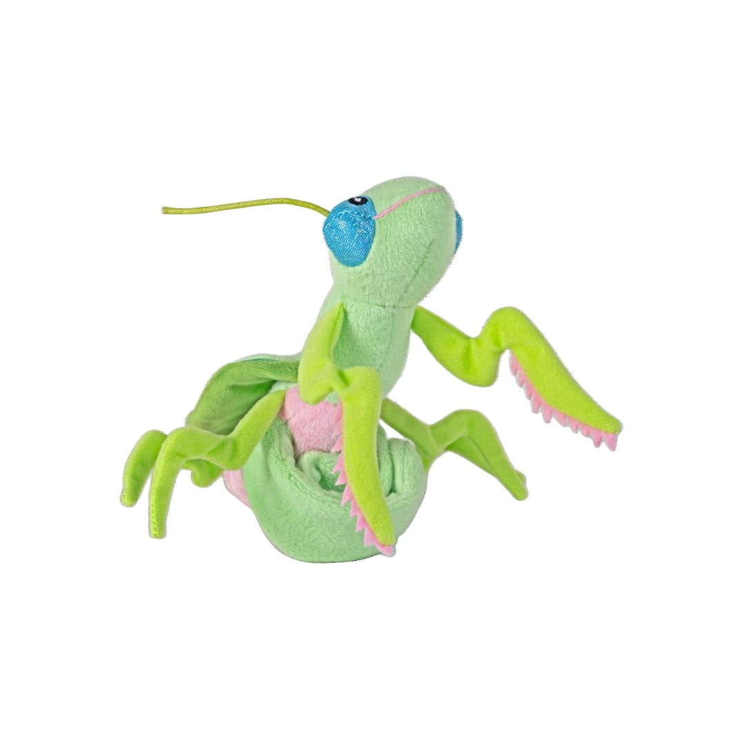 Huggers Gottesanbeterin