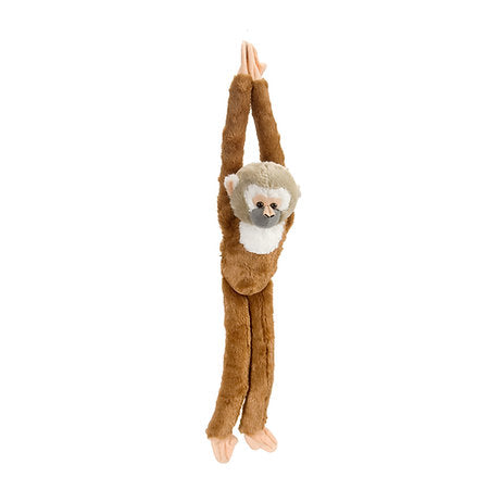 Totenkopfaffe / Squirrel monkey