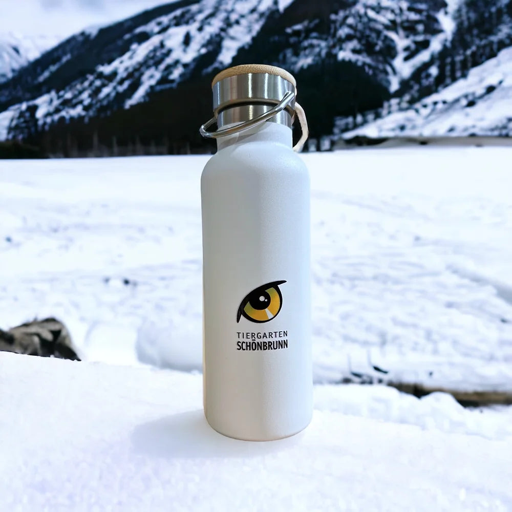 Trinkflasche Edelstahl Eisbär Design