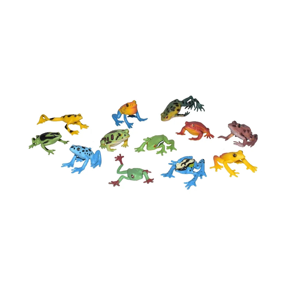 Tube Frogs / Frösche