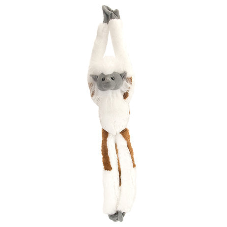 Lisztaffe / Cotton Top Tamarin