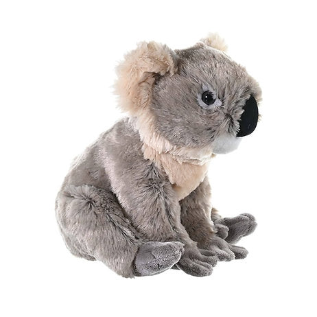 Koala 30 cm
