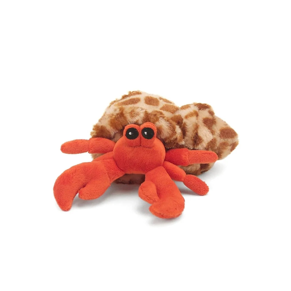 Einsiedlerkrebs 18 cm
