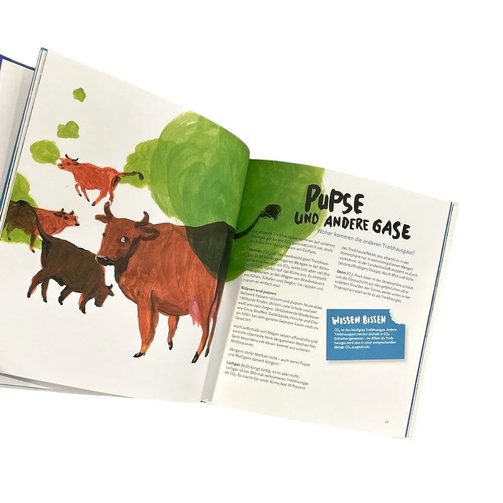 Ohne Eis kein Eisbär - Buch (8+ Jahre)