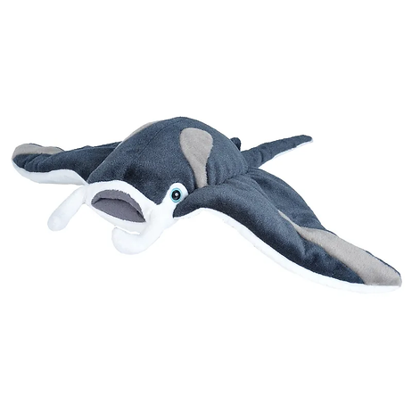 Manta Rochen 30 cm
