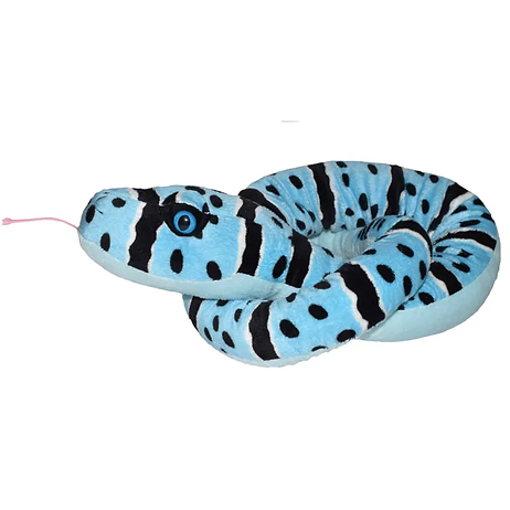 Felsenklapper Schlange Blau / Blue Rock Rattle