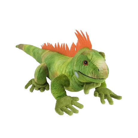 Leguan / Iguana 30 cm