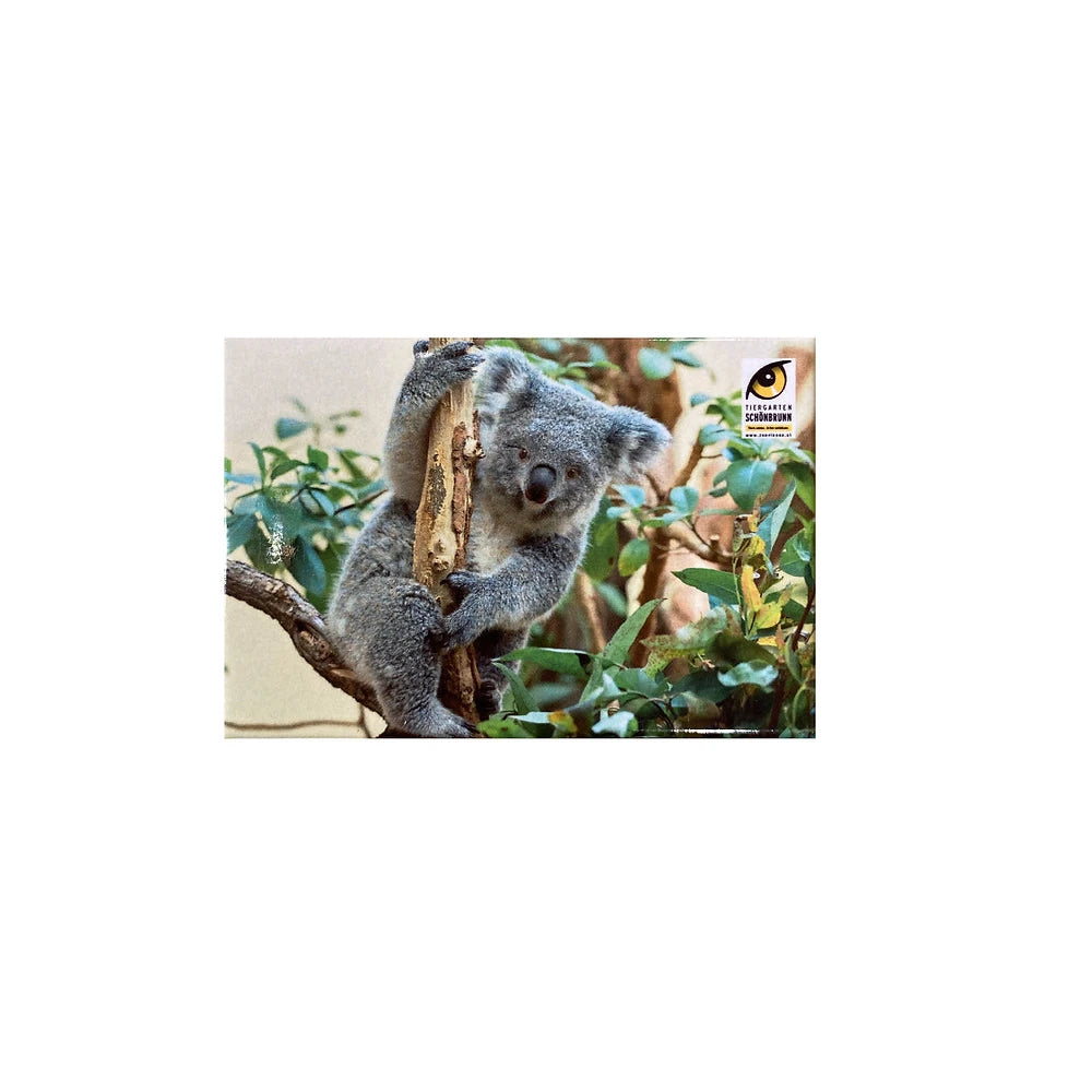Magnet mit Tier aus dem Tiergarten Schönbrunn