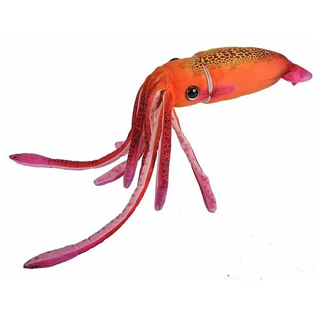 Tintenfisch / Kalmar Orange 30 cm