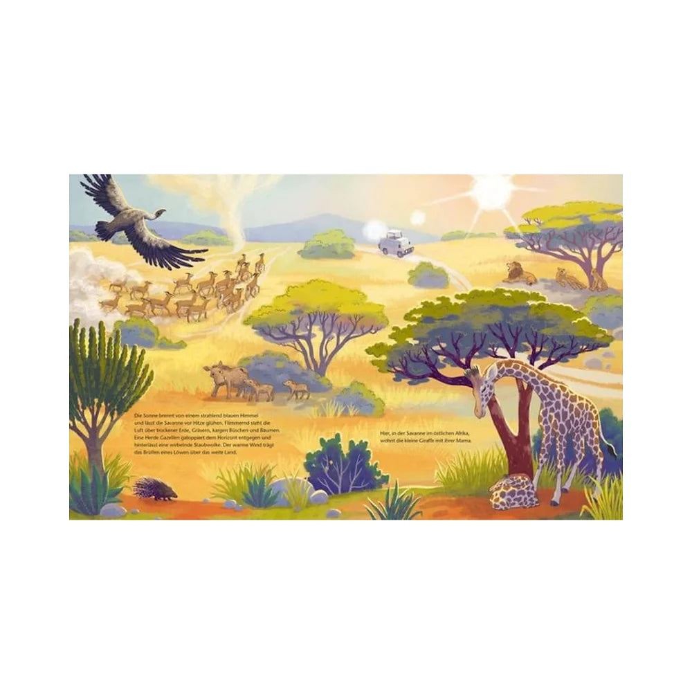 Die kleine Giraffe - Zu Hause in der Savanne - Buch (4+Jahre)