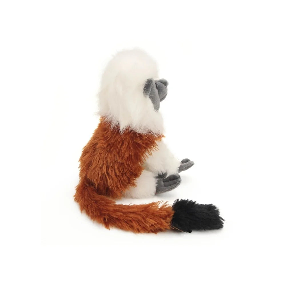 Liszt Affe 20 cm / Cotton Top Tamarin