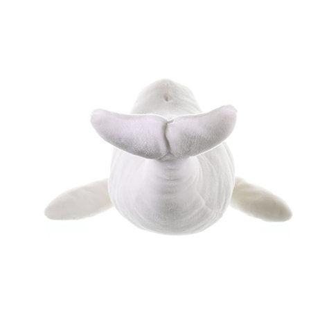Beluga Wal 30 cm