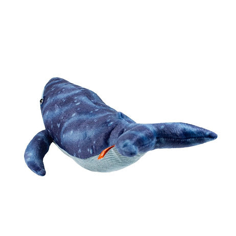 Blauwal 30 cm
