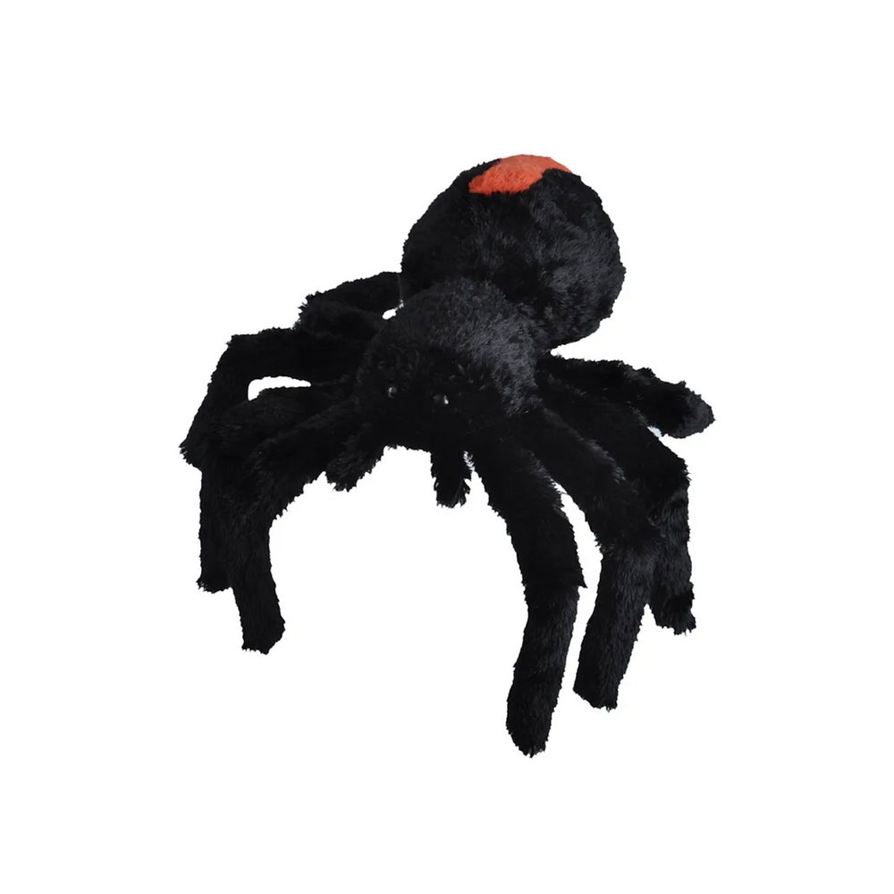 Rotrücken Spinne 30 cm