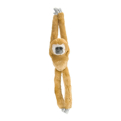 Weißhand Gibbon / White-handed gibbon