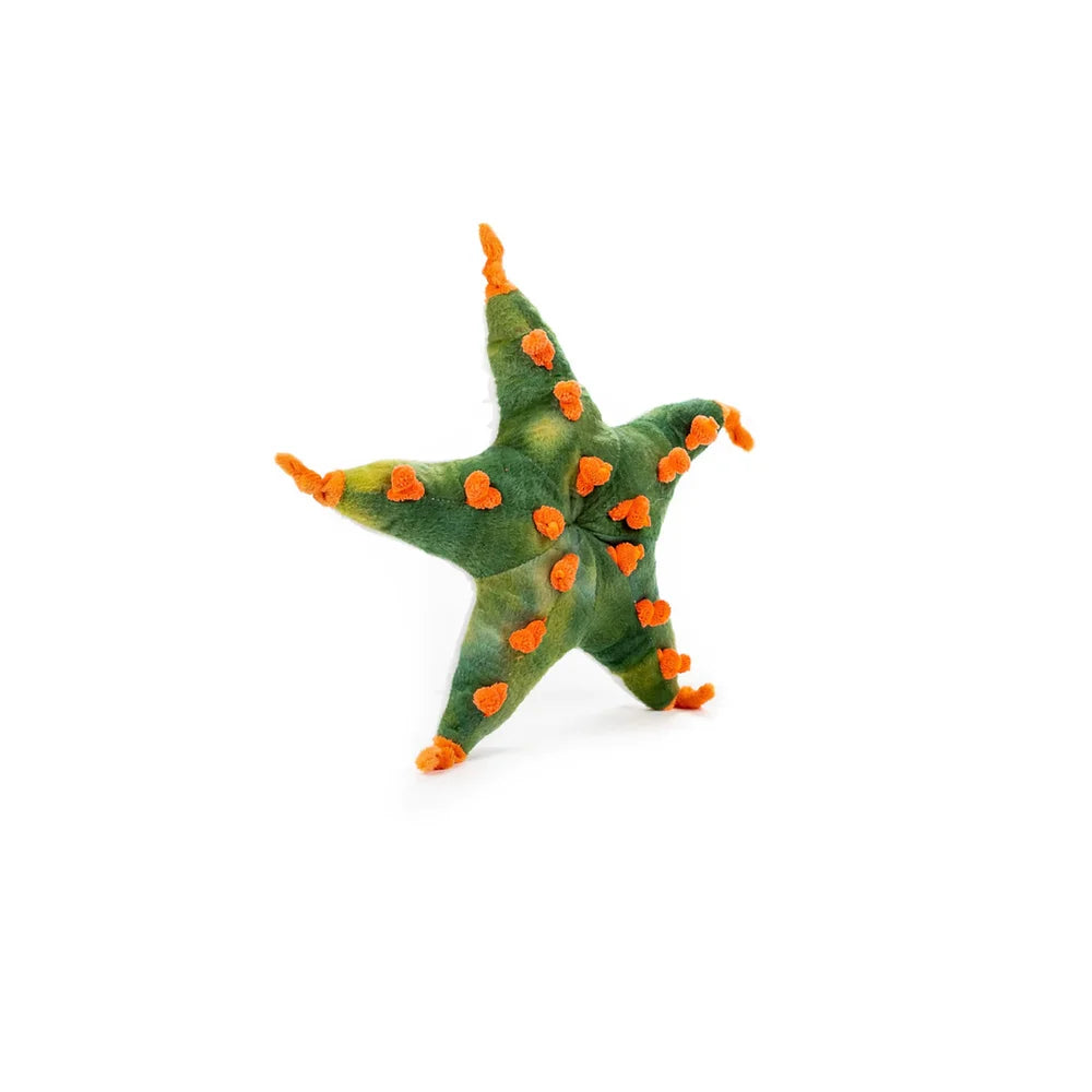 Seestern 20 cm