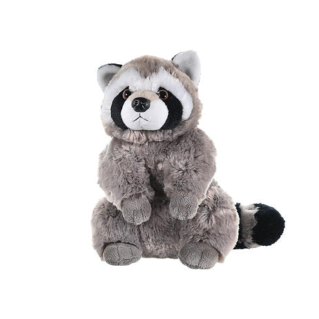 Waschbär 30 cm