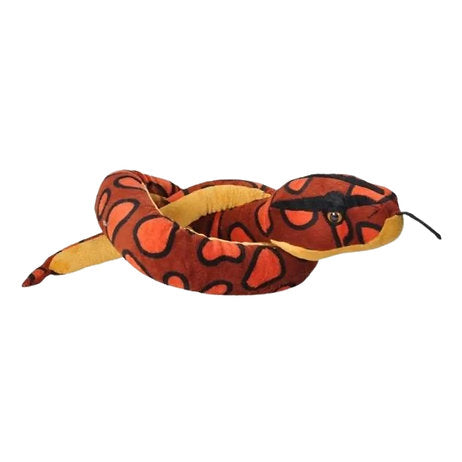 Regenbogenboa Schlange / Rainbow Boa