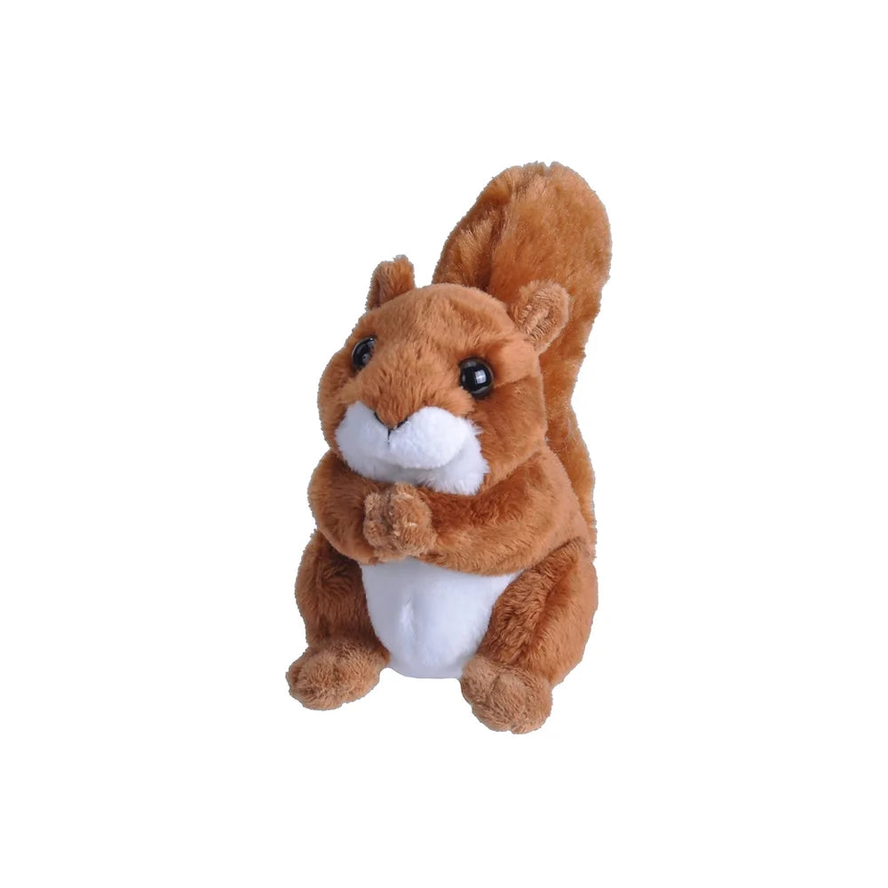 Eichhörnchen 13 cm