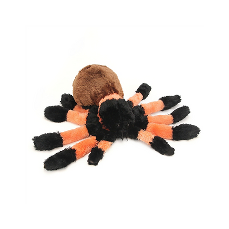 Tarantel / Spinne / Vogelspinne 30 cm