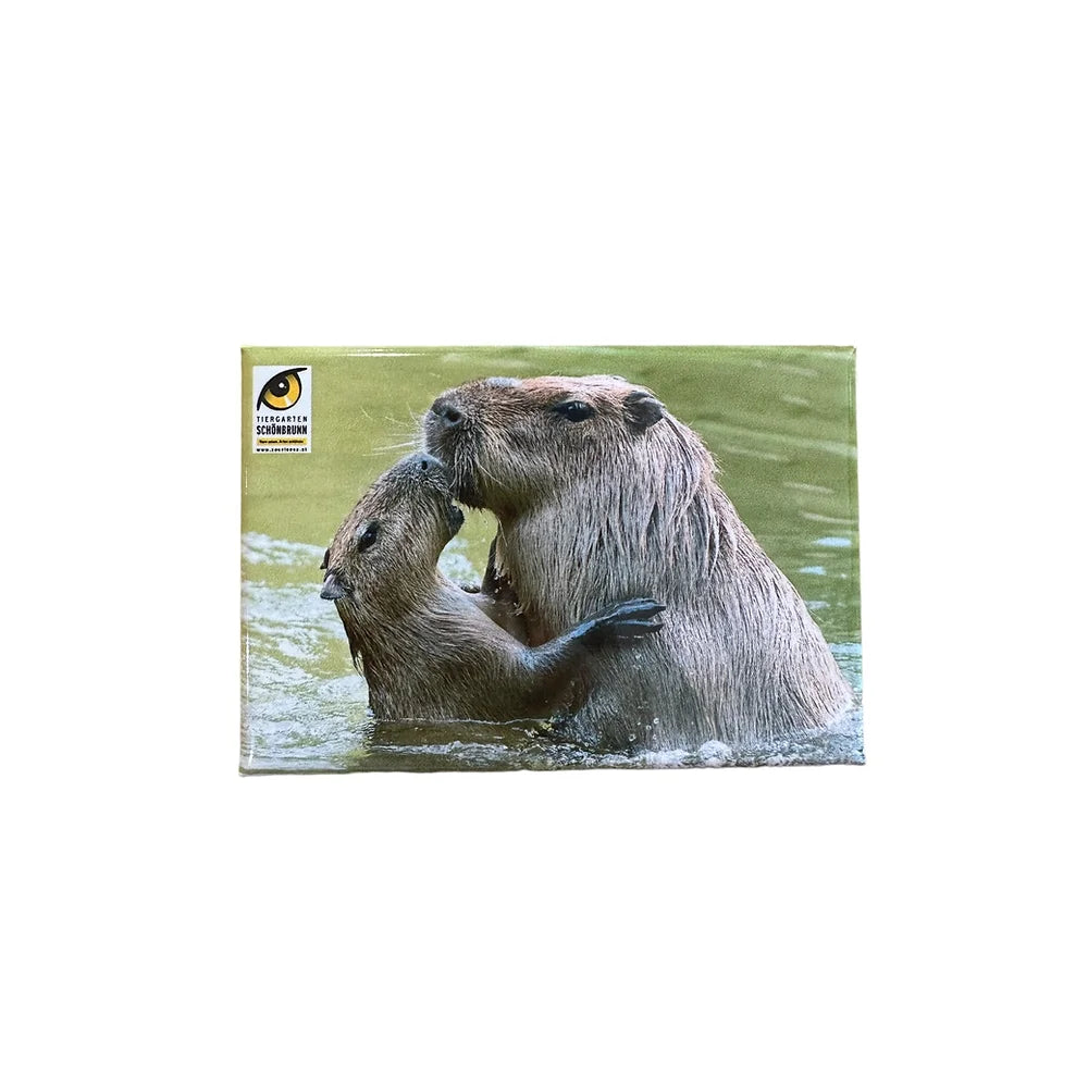 Magnet mit Tier aus dem Tiergarten Schönbrunn