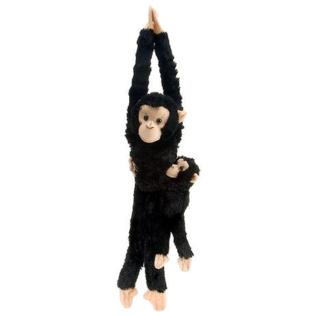Schimpanse & Baby / Chimp