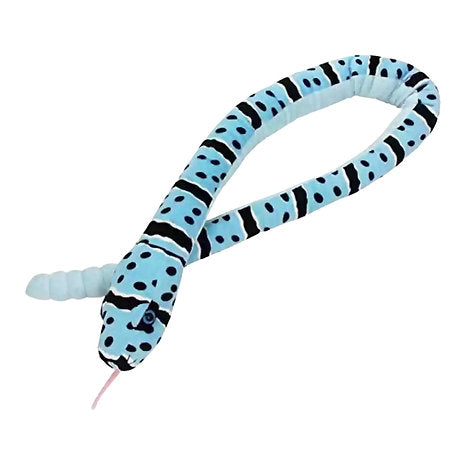 Felsenklapper Schlange Blau / Blue Rock Rattle