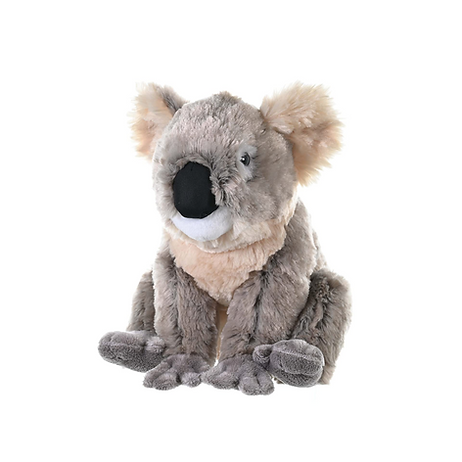 Koala 30 cm