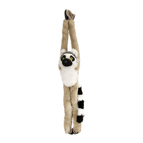 Katta Lemur