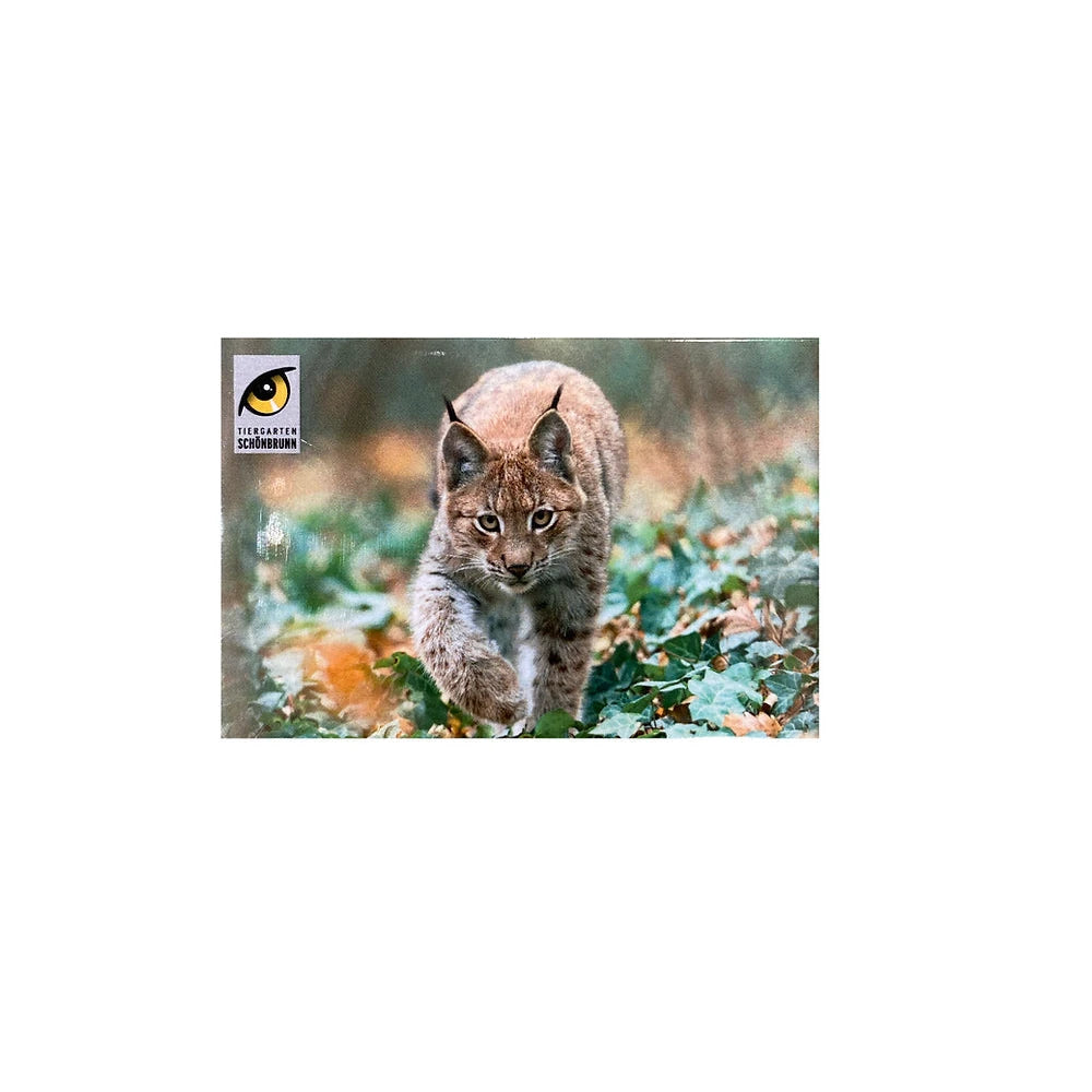 Magnet mit Tier aus dem Tiergarten Schönbrunn