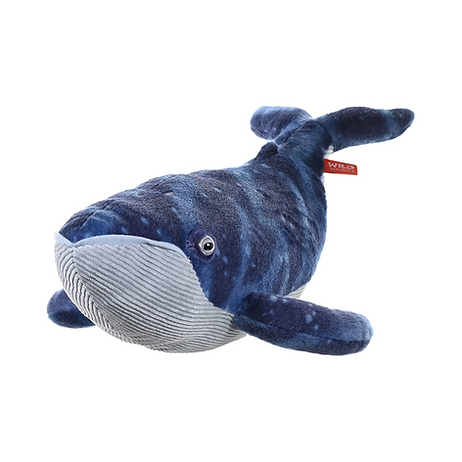 Blauwal 30 cm