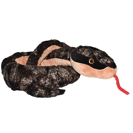 Kupferfarbene Schlange / Copper