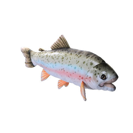 Forelle 40 cm
