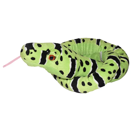 Felsenklapper Schlange Grün / Green Rock Rattle