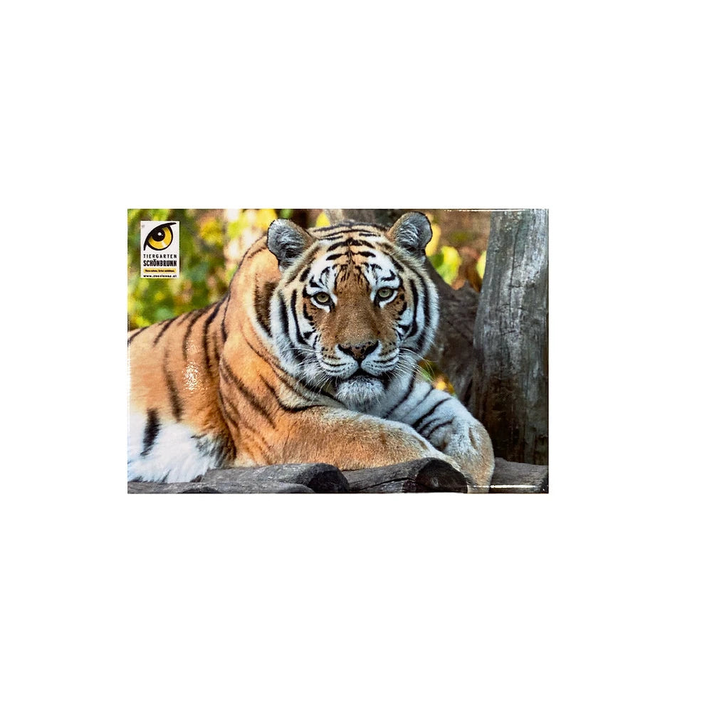 Magnet mit Tier aus dem Tiergarten Schönbrunn