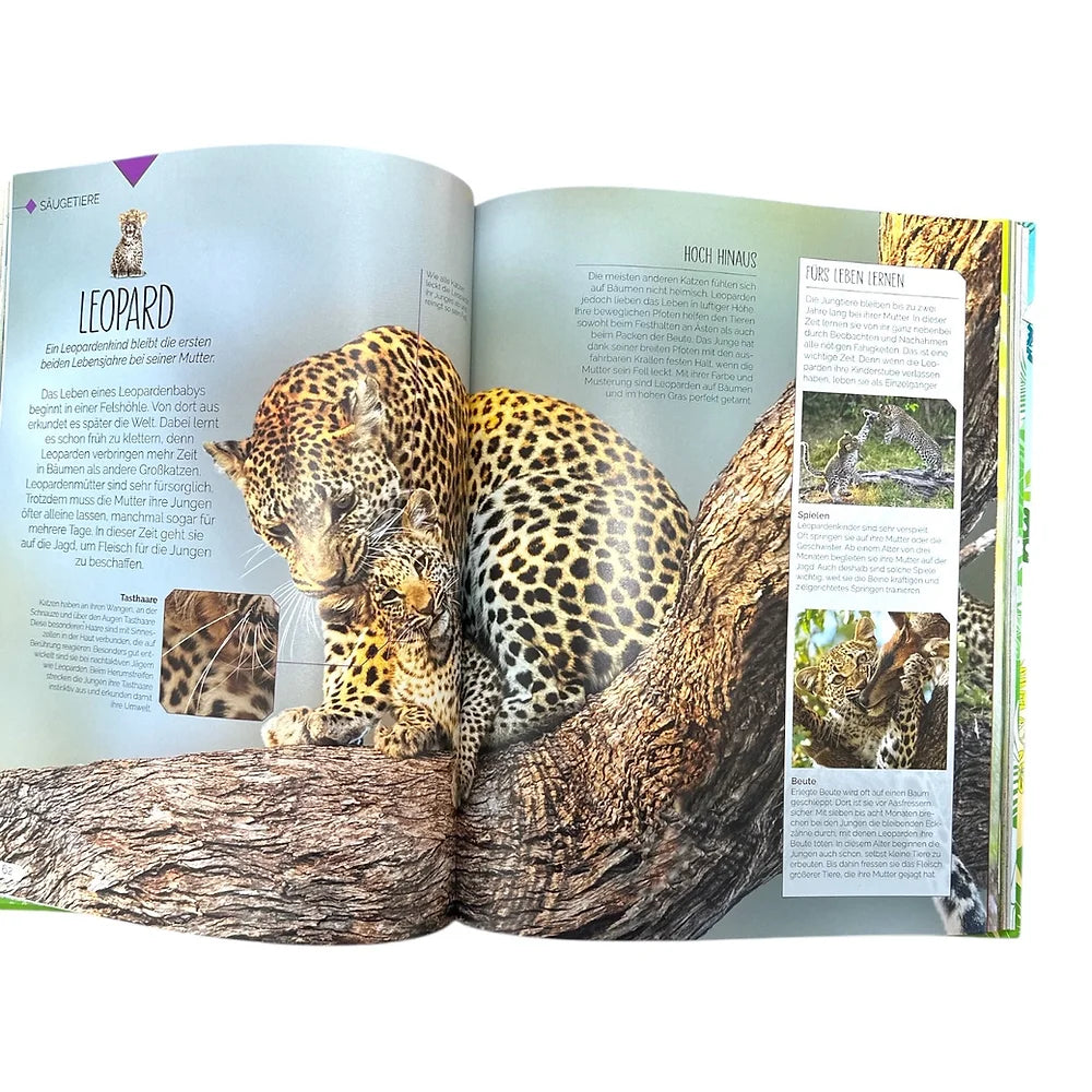 Tierkinder der Wildnis - Buch (5+Jahre)