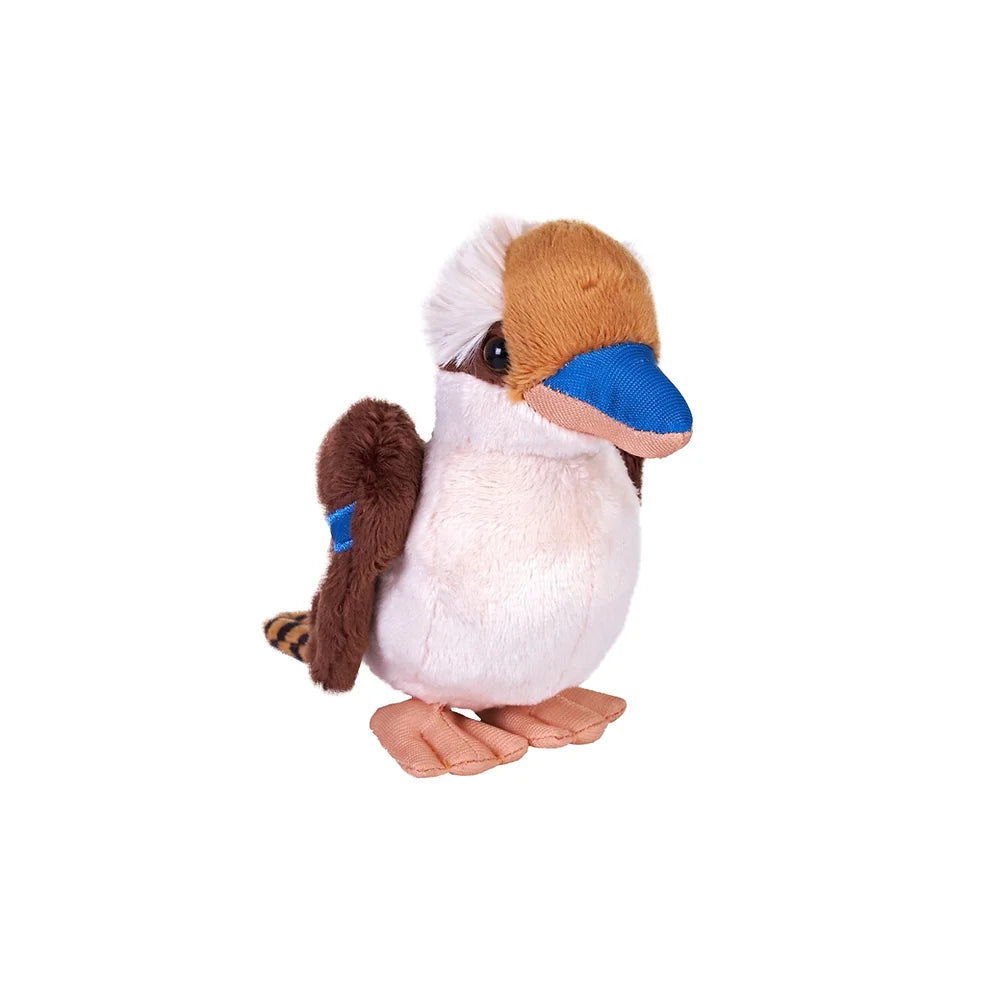 Kookaburra 13 cm