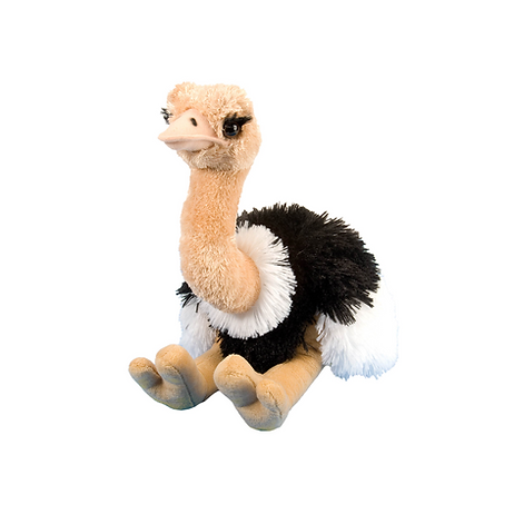 Vogelstrauß 30 cm