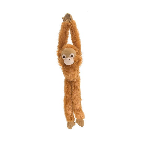 Orangutan