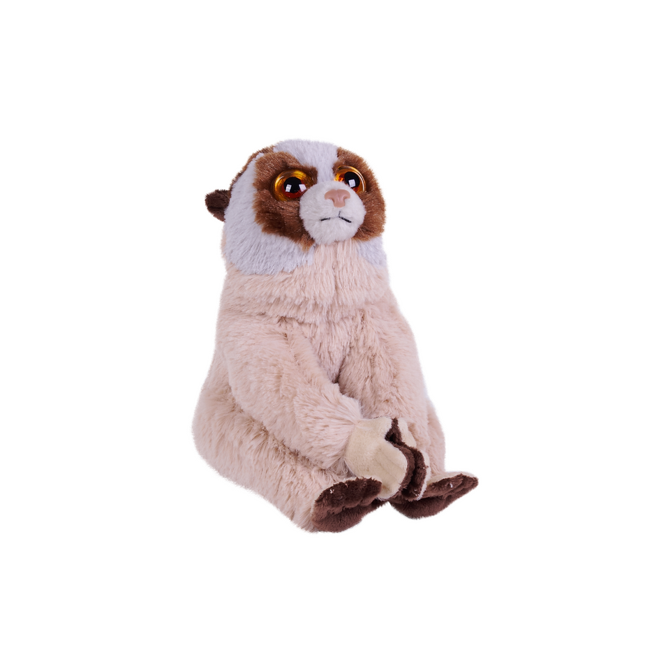Plump Loris 20 cm