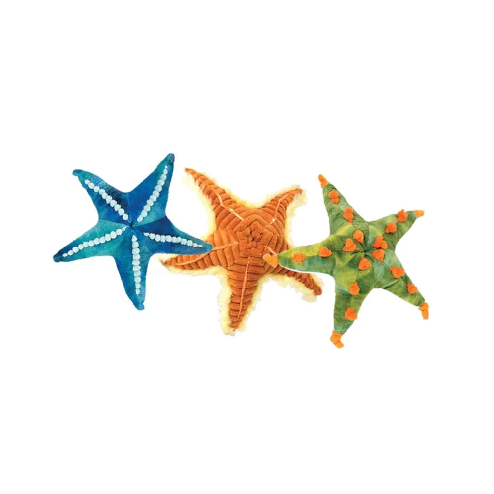 Seestern 20 cm
