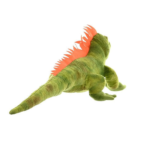 Leguan / Iguana 30 cm