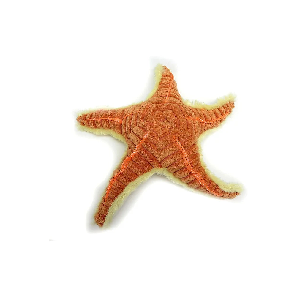 Seestern 20 cm