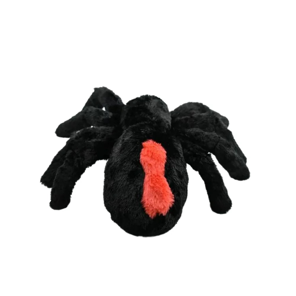 Rotrücken Spinne 30 cm