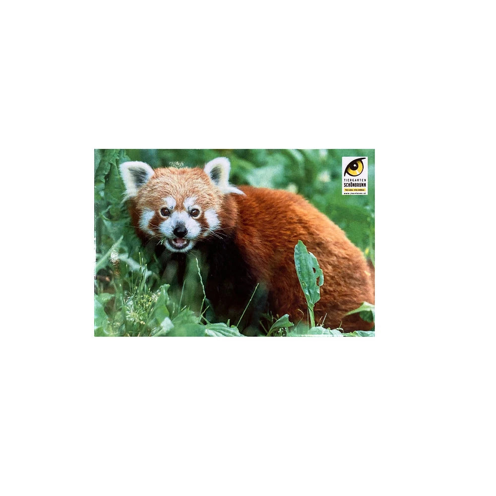 Magnet mit Tier aus dem Tiergarten Schönbrunn
