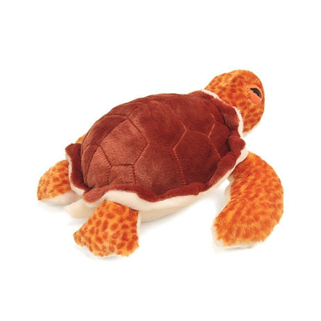 Unechte Karettschildkröte 30 cm