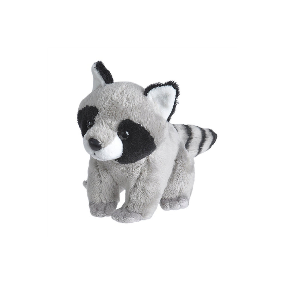Waschbär 13 cm