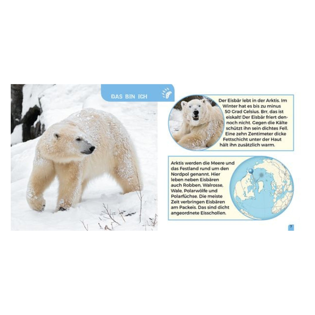 Der kleine Zoo-Entdecker - Eisbär Buch (6+ Jahre)
