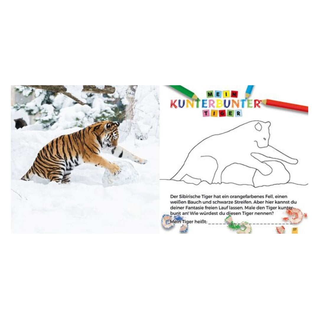 Der kleine Zoo-Entdecker - Tiger Buch (6+ Jahre)