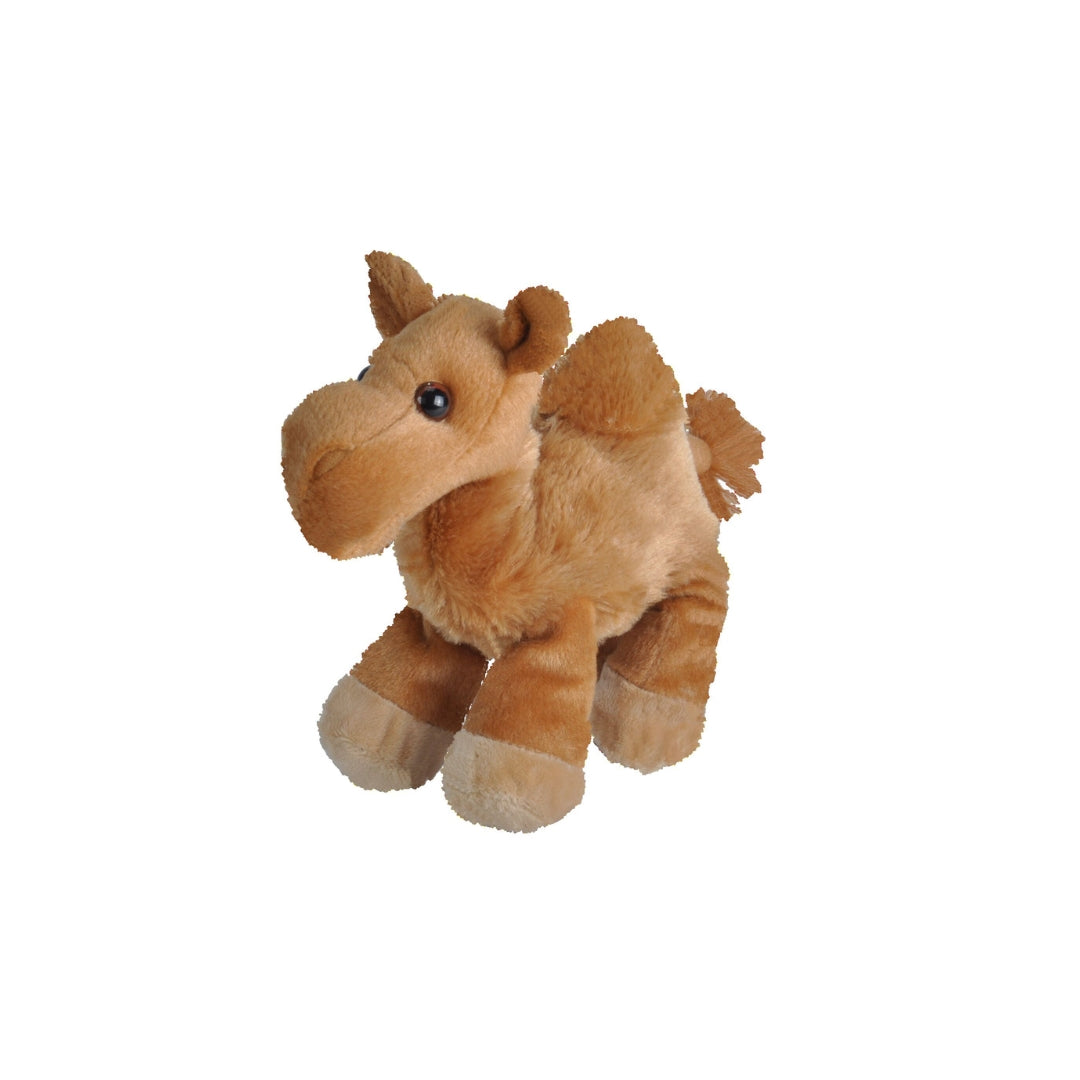 Kamel 18 cm